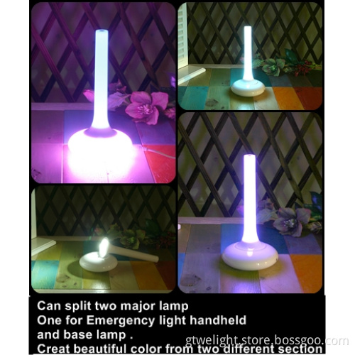 Artistic Vase Lamp/Torch with Living Colors, Scene LED Light, Color Changing Mood LED Light, LED Color Changing Landscape Lights